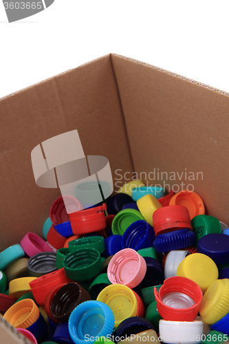 Image of pet caps in the paper box 