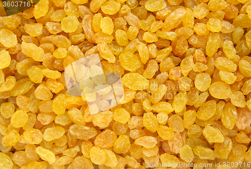 Image of Golden raisins background