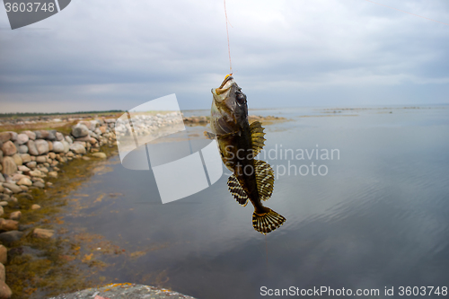 Image of sea fishing the Arctic circle