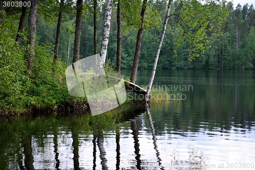 Image of Forest lake.