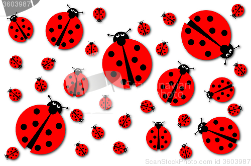 Image of Many Ladybugs Shadows