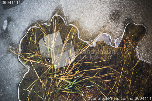 Image of Melting ice on a pond in spring, close-up