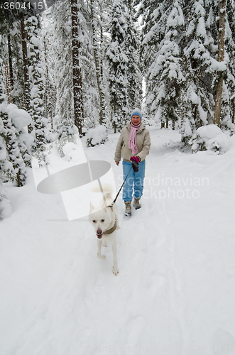 Image of The woman with a dog on walk in a winter wood