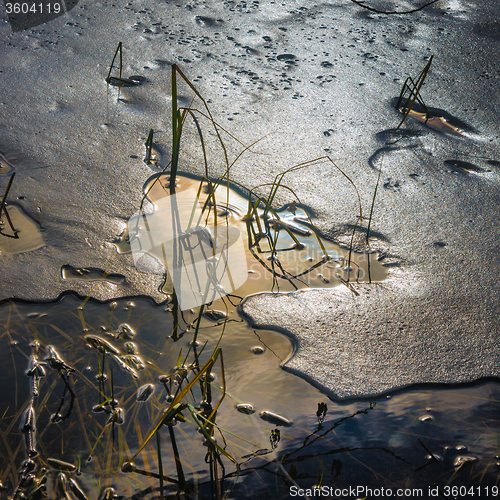 Image of Melting ice on a pond in spring, close-up