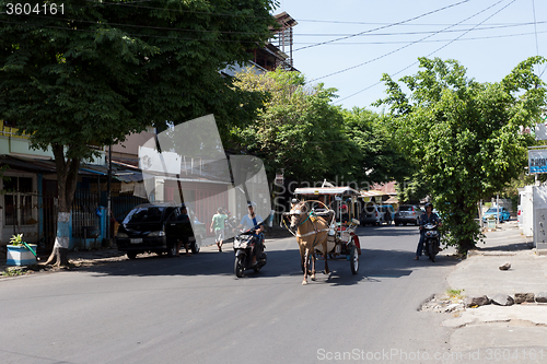 Image of horse drawn carriage in the streets of Manado