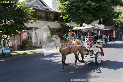 Image of horse drawn carriage in the streets of Manado