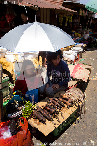 Image of tradition speciality, roasted jungle rat