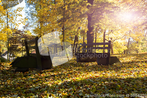 Image of wooden bench in the park