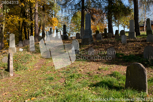 Image of forgotten and unkempt Jewish cemetery with the strangers