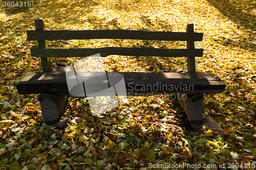 Image of wooden bench in the park