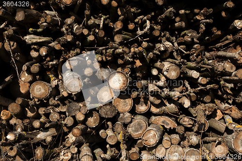 Image of firewood in pile outdoor