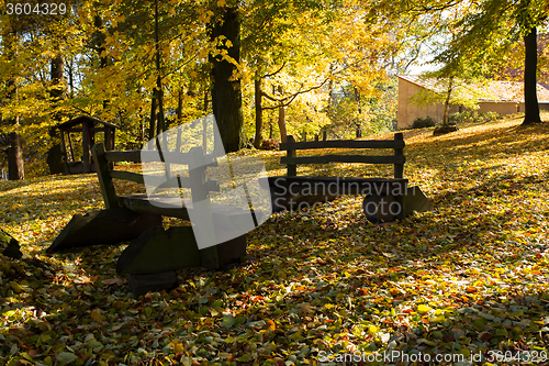 Image of wooden bench in the park