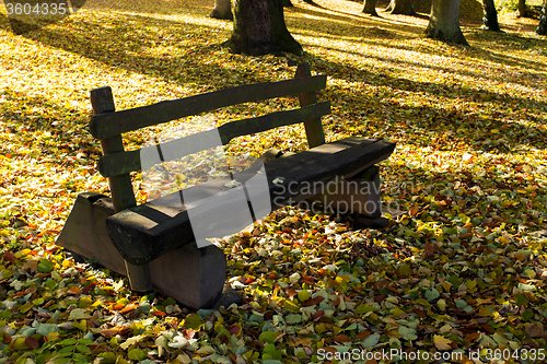 Image of wooden bench in the park