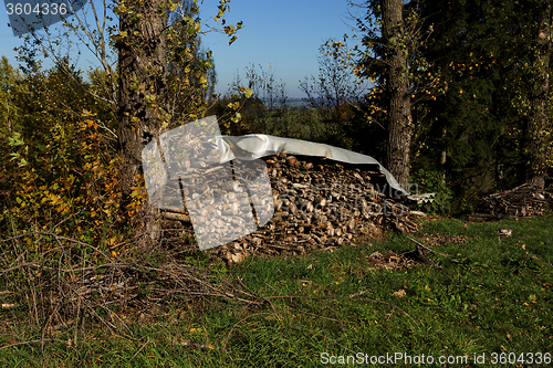Image of firewood in pile outdoor