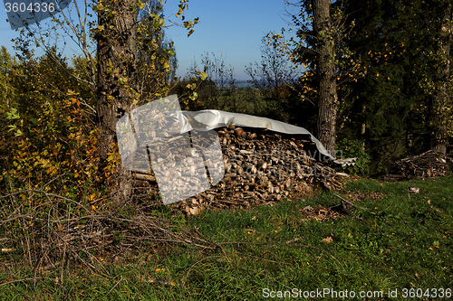 Image of firewood in pile outdoor