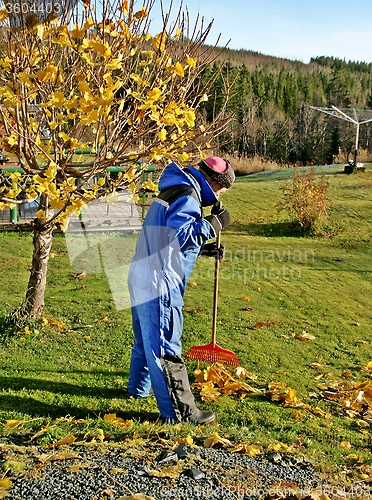 Image of Senior man gardening