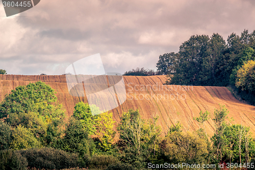 Image of Harvested hillside fields with green trees