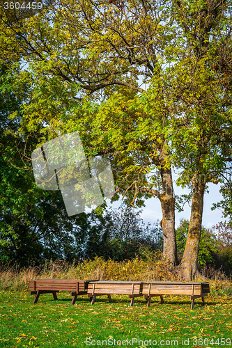 Image of Park in the autumn with benches