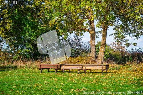 Image of Benches in a park at autumn