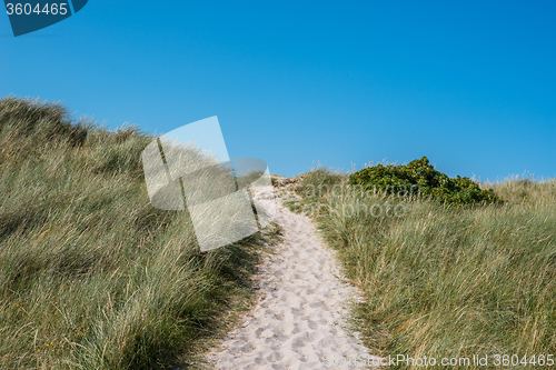 Image of Beach path with green grass