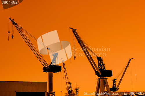 Image of Crane silhouettes at a shipping harbor