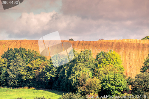 Image of Agricultural hillside fields with green trees