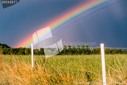 Image of Rainbow at a field