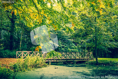 Image of Bridge in a forest in autumn