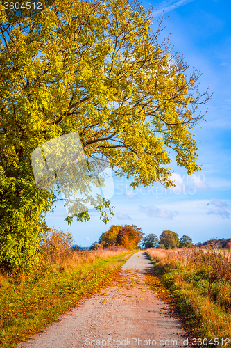 Image of Autumn landscape with a path