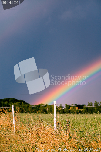 Image of Rainbow coming over a field