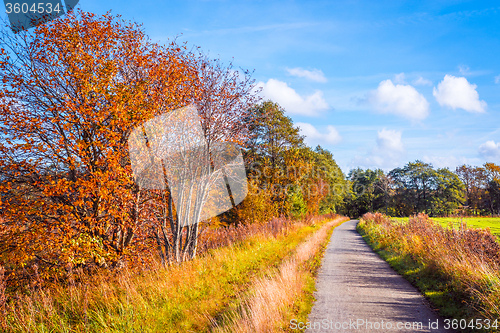 Image of Trail going through a autumn scenery