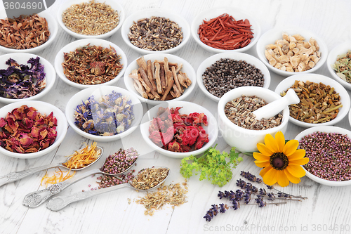 Image of Apothecary Flowers and Herbs