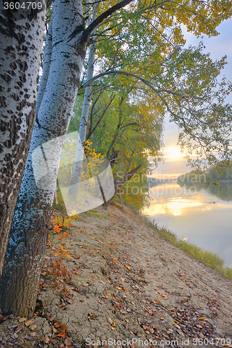 Image of Siret river in autumn forest