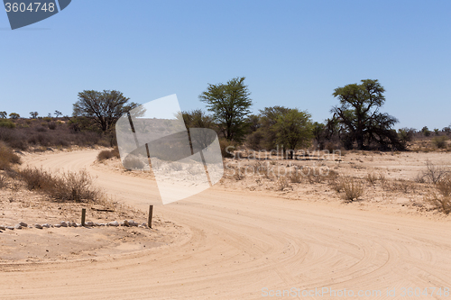 Image of road in Kgalagadi transfontier park