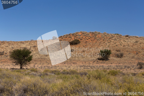 Image of kgalagadi transfontier park