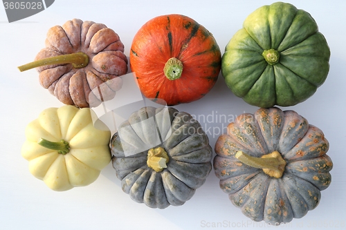 Image of Squash and pumpkins.