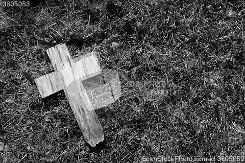 Image of Small cross on grass and moss