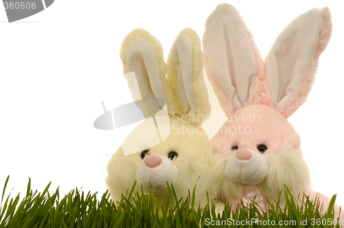 Image of Easter bunnies