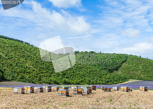 Image of Beehive close to lavander field