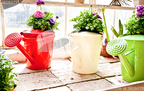 Image of Garden - Watering can