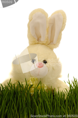 Image of Easter bunny