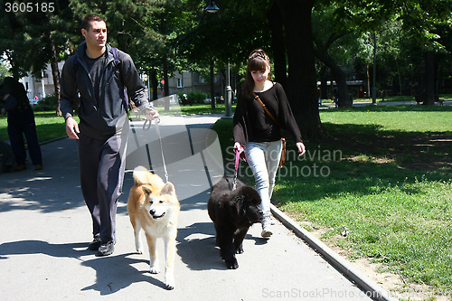 Image of Walking with puppies