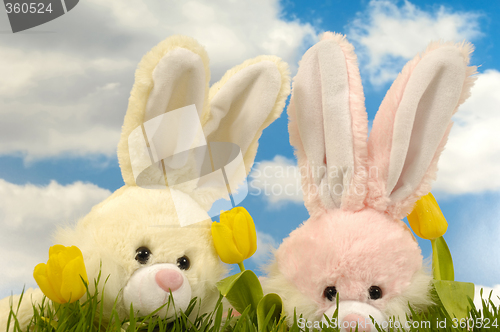 Image of Easter bunnies and tulips