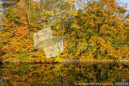 Image of Autumn Season