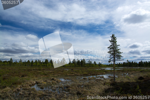 Image of Wide Land in Finland