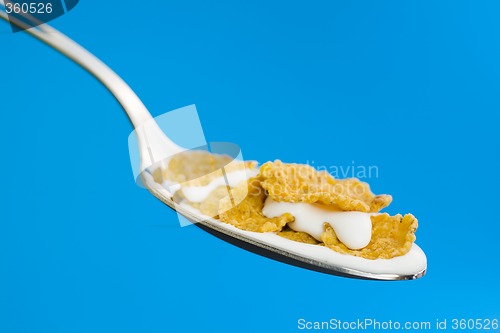 Image of Corn flakes on the spoon