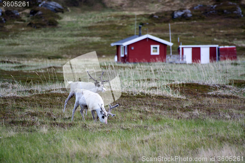 Image of Wide Land in Norway