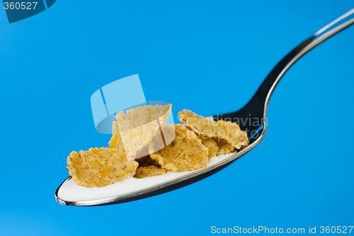 Image of Corn flakes on the spoon