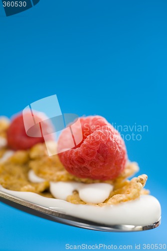 Image of Corn flakes on the spoon