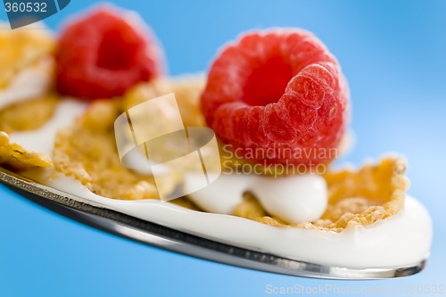 Image of Corn flakes on the spoon